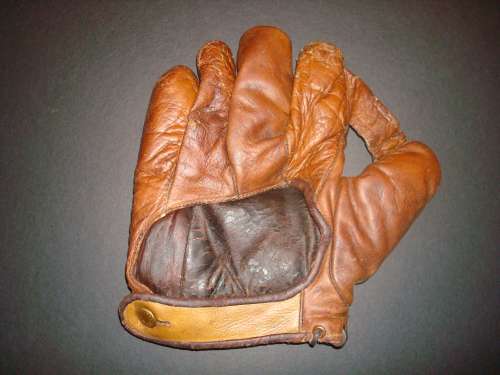 Iver Johnson Sporting Goods 1 Inch Web Back